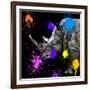 Safari Colors Pop Collection - Rhino Portrait-Philippe Hugonnard-Framed Giclee Print