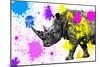 Safari Colors Pop Collection - Rhino-Philippe Hugonnard-Mounted Giclee Print