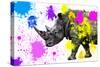 Safari Colors Pop Collection - Rhino-Philippe Hugonnard-Stretched Canvas