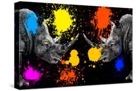 Safari Colors Pop Collection - Rhinos Face to Face III-Philippe Hugonnard-Stretched Canvas