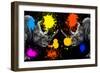 Safari Colors Pop Collection - Rhinos Face to Face III-Philippe Hugonnard-Framed Giclee Print