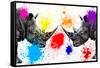 Safari Colors Pop Collection - Rhinos Face to Face III-Philippe Hugonnard-Framed Stretched Canvas