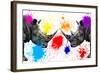 Safari Colors Pop Collection - Rhinos Face to Face III-Philippe Hugonnard-Framed Giclee Print