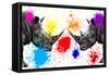 Safari Colors Pop Collection - Rhinos Face to Face III-Philippe Hugonnard-Framed Stretched Canvas