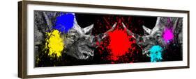 Safari Colors Pop Collection - Rhinos Face to Face-Philippe Hugonnard-Framed Giclee Print