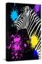 Safari Colors Pop Collection - Zebra III-Philippe Hugonnard-Stretched Canvas