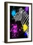 Safari Colors Pop Collection - Zebra III-Philippe Hugonnard-Framed Giclee Print