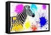 Safari Colors Pop Collection - Zebra IV-Philippe Hugonnard-Framed Stretched Canvas