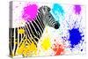 Safari Colors Pop Collection - Zebra IV-Philippe Hugonnard-Stretched Canvas