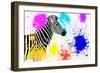 Safari Colors Pop Collection - Zebra IV-Philippe Hugonnard-Framed Giclee Print