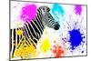 Safari Colors Pop Collection - Zebra IV-Philippe Hugonnard-Mounted Giclee Print