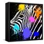 Safari Colors Pop Collection - Zebra Portrait II-Philippe Hugonnard-Framed Stretched Canvas