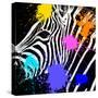 Safari Colors Pop Collection - Zebra Portrait II-Philippe Hugonnard-Stretched Canvas
