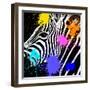 Safari Colors Pop Collection - Zebra Portrait II-Philippe Hugonnard-Framed Giclee Print