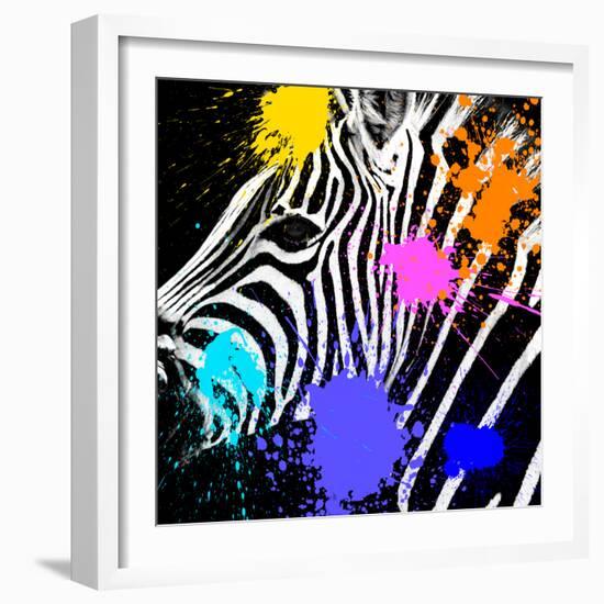 Safari Colors Pop Collection - Zebra Portrait II-Philippe Hugonnard-Framed Giclee Print