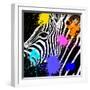 Safari Colors Pop Collection - Zebra Portrait II-Philippe Hugonnard-Framed Giclee Print