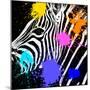 Safari Colors Pop Collection - Zebra Portrait II-Philippe Hugonnard-Mounted Giclee Print