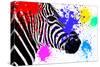Safari Colors Pop Collection - Zebra Portrait III-Philippe Hugonnard-Stretched Canvas