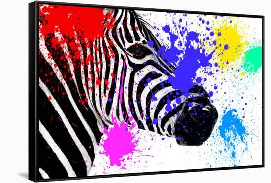 Safari Colors Pop Collection - Zebra Portrait III-Philippe Hugonnard-Framed Stretched Canvas