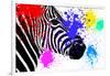 Safari Colors Pop Collection - Zebra Portrait III-Philippe Hugonnard-Framed Giclee Print