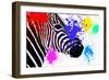 Safari Colors Pop Collection - Zebra Portrait III-Philippe Hugonnard-Framed Giclee Print