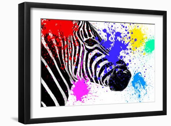 Safari Colors Pop Collection - Zebra Portrait III-Philippe Hugonnard-Framed Giclee Print