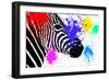 Safari Colors Pop Collection - Zebra Portrait III-Philippe Hugonnard-Framed Giclee Print