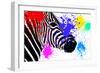 Safari Colors Pop Collection - Zebra Portrait III-Philippe Hugonnard-Framed Giclee Print