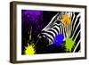 Safari Colors Pop Collection - Zebra Portrait IV-Philippe Hugonnard-Framed Giclee Print