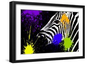 Safari Colors Pop Collection - Zebra Portrait IV-Philippe Hugonnard-Framed Giclee Print