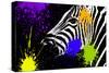 Safari Colors Pop Collection - Zebra Portrait IV-Philippe Hugonnard-Stretched Canvas