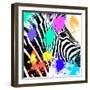 Safari Colors Pop Collection - Zebra Portrait-Philippe Hugonnard-Framed Giclee Print