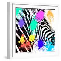 Safari Colors Pop Collection - Zebra Portrait-Philippe Hugonnard-Framed Giclee Print