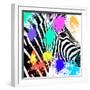 Safari Colors Pop Collection - Zebra Portrait-Philippe Hugonnard-Framed Giclee Print