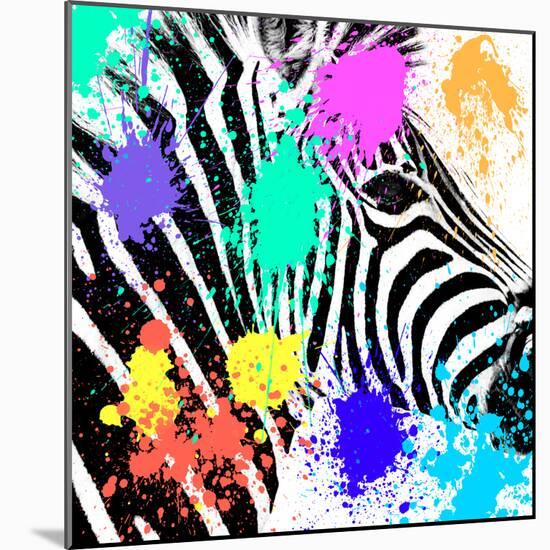 Safari Colors Pop Collection - Zebra Portrait-Philippe Hugonnard-Mounted Giclee Print