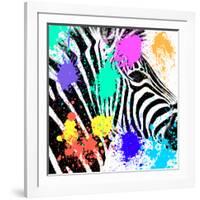 Safari Colors Pop Collection - Zebra Portrait-Philippe Hugonnard-Framed Giclee Print