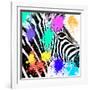 Safari Colors Pop Collection - Zebra Portrait-Philippe Hugonnard-Framed Giclee Print