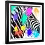 Safari Colors Pop Collection - Zebra Portrait-Philippe Hugonnard-Framed Giclee Print