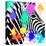 Safari Colors Pop Collection - Zebra Portrait-Philippe Hugonnard-Stretched Canvas