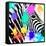 Safari Colors Pop Collection - Zebra Portrait-Philippe Hugonnard-Framed Stretched Canvas