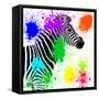 Safari Colors Pop Collection - Zebra Profile II-Philippe Hugonnard-Framed Stretched Canvas