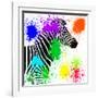 Safari Colors Pop Collection - Zebra Profile II-Philippe Hugonnard-Framed Giclee Print