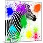 Safari Colors Pop Collection - Zebra Profile II-Philippe Hugonnard-Mounted Giclee Print