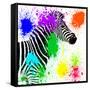 Safari Colors Pop Collection - Zebra Profile II-Philippe Hugonnard-Framed Stretched Canvas