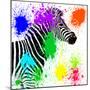 Safari Colors Pop Collection - Zebra Profile II-Philippe Hugonnard-Mounted Giclee Print