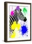 Safari Colors Pop Collection - Zebra Profile-Philippe Hugonnard-Framed Giclee Print