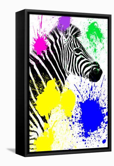 Safari Colors Pop Collection - Zebra Profile-Philippe Hugonnard-Framed Stretched Canvas