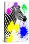 Safari Colors Pop Collection - Zebra Profile-Philippe Hugonnard-Stretched Canvas