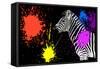 Safari Colors Pop Collection - Zebra V-Philippe Hugonnard-Framed Stretched Canvas