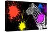 Safari Colors Pop Collection - Zebra V-Philippe Hugonnard-Stretched Canvas
